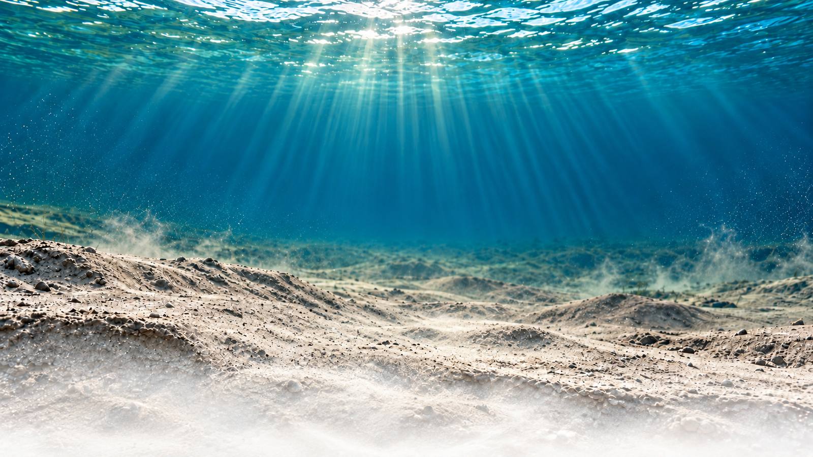 Visual de la campaña: agua sobre un fondo de sedimento